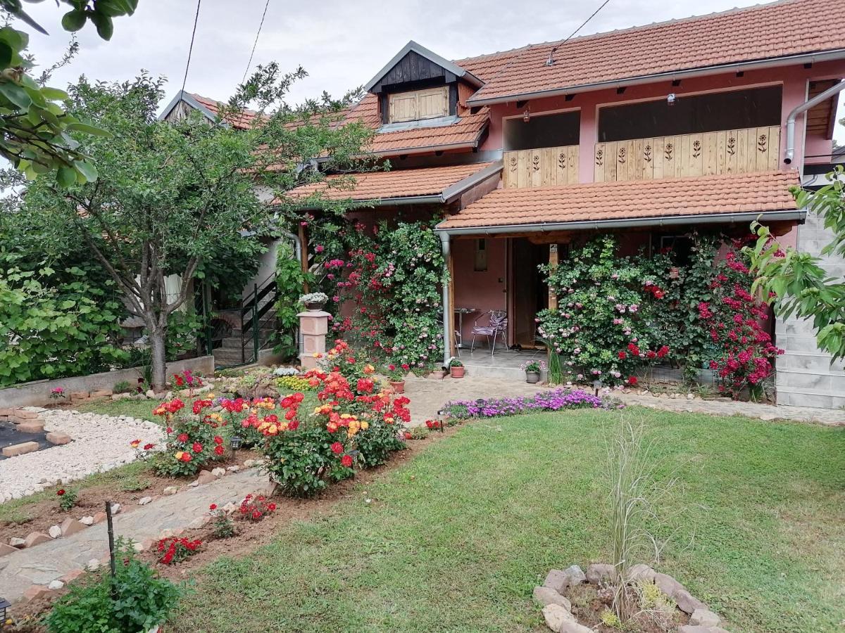 Apartman Mika Soko Banja Exterior photo
